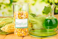Whyle biofuel availability
