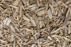 biomass boilers Whyle